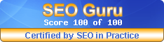seo guru