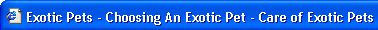 Example of a well-optimized page title