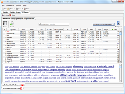 WebSite Auditor main tab