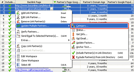 Setting partners' category