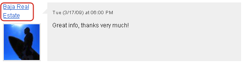 Blog commentator's name