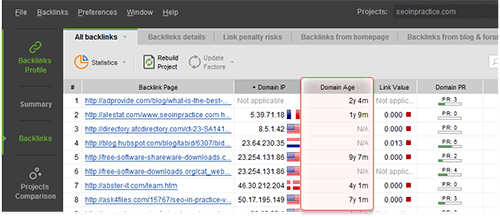 Domain age in SEO SpyGlass